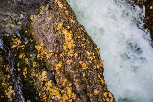 Queda Foliage River — Fotografia de Stock