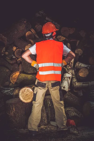 Drewno kominkowe praca dobrze sporządzony — Zdjęcie stockowe