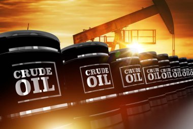 Ham petrol ticaret kavramı