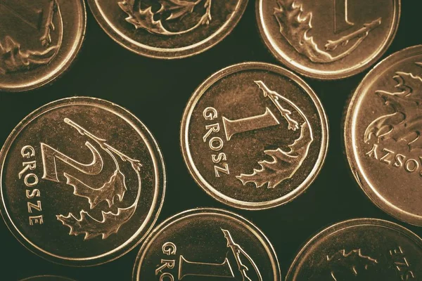 Monedas de Grosze polaco — Foto de Stock
