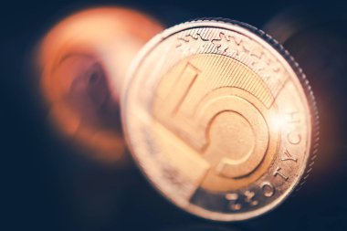 Beş Polonya Zlotisi portre