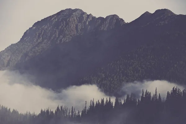 Von Wolken bedeckte Berge — Stockfoto