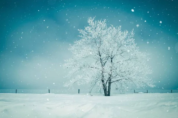Мальовничий зимовий пейзаж — стокове фото