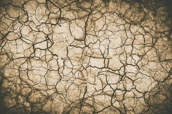 Sol désertique extrêmement sec — Photo