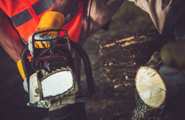 Yakacak odun kesme günlükleri