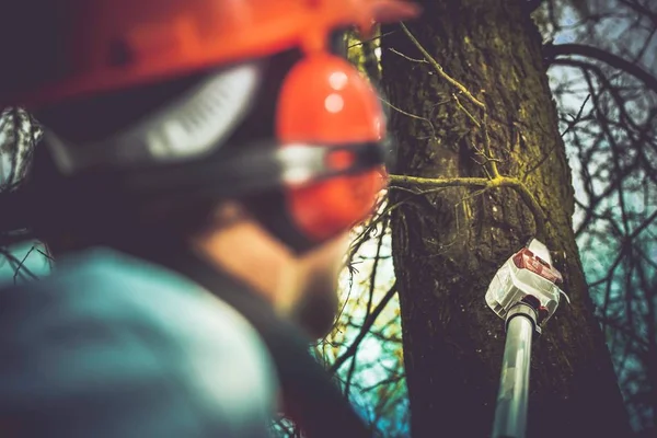 Taking Care of Trees — Stock Photo, Image