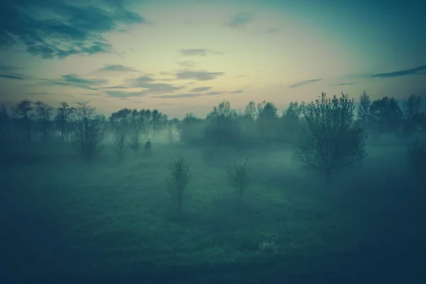 Niebla paisaje de la noche — Foto de Stock