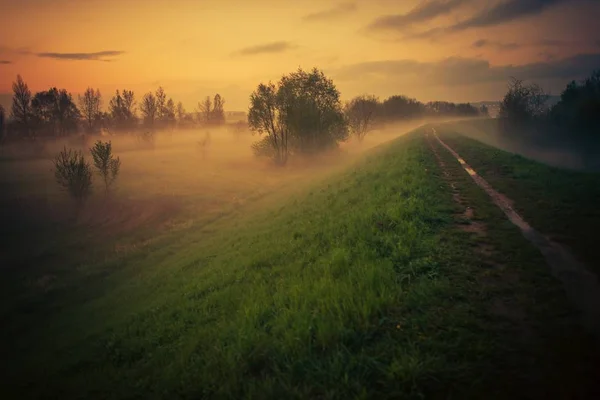 Foggy Floodbank Trail auringonlaskun aikaan — kuvapankkivalokuva