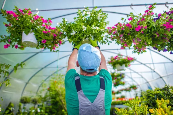 Tuinman en zijn bloemen — Stockfoto