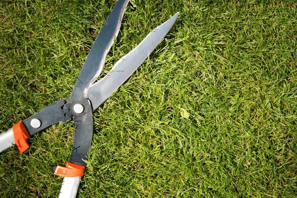 Gardener Scissors on the Grass — Stock Photo, Image