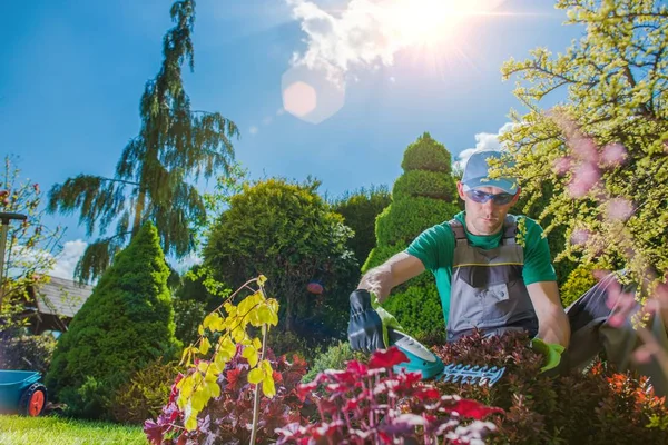 Professionele tuinman op het werk — Stockfoto