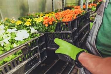 Bahçe işleri konsepti