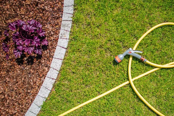 Garden Water Hose