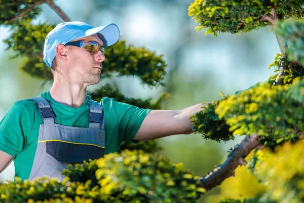 Pro Gardener at Work — Stock Photo, Image