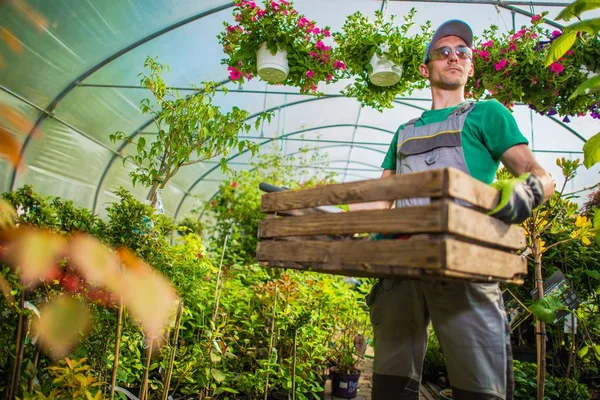 Jardinero Invernadero Trabajo — Foto de Stock