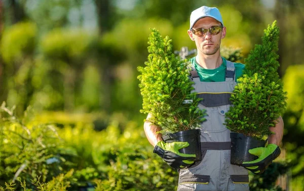 Jardineiro com plantas — Fotografia de Stock