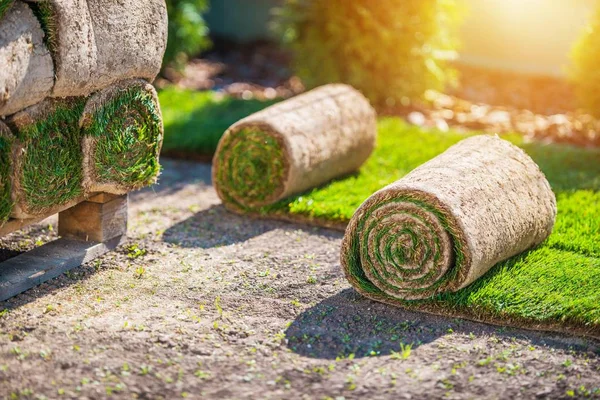 Çim yükleme için hazırlama — Stok fotoğraf