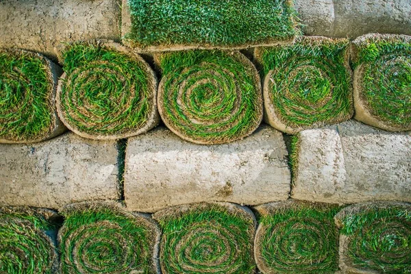 Rolled Natural Grass Turfs — Stock Photo, Image