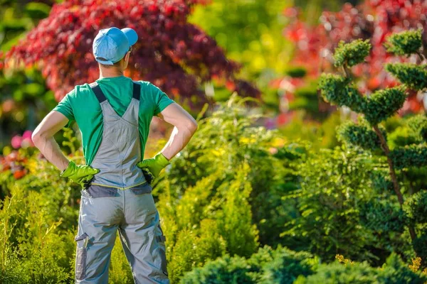 Jardinero satisfecho en el jardín — Foto de Stock