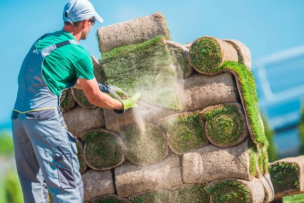 Verre de gazon pour un nouveau jardin — Photo