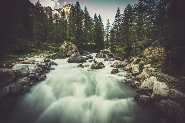 Alpine Flusslandschaft mit Frettchen — Stockfoto