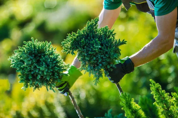 Tuin winkel winkelen — Stockfoto