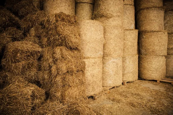 Granja Instalación de almacenamiento de heno — Foto de Stock