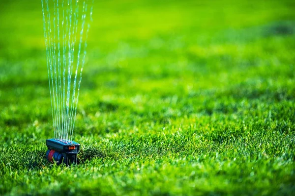 Garden Grass Field Sprinkler — Stock Photo, Image