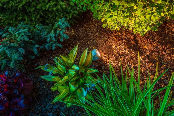 Tuin Spot verlichting — Stockfoto