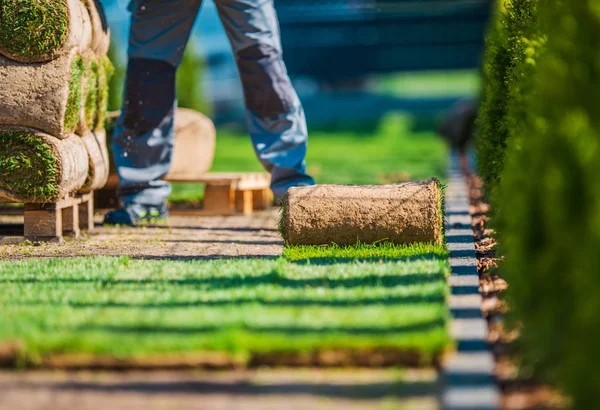 Gras gazon installatie — Stockfoto