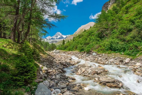 Grossglockner dağ nehir — Stok fotoğraf