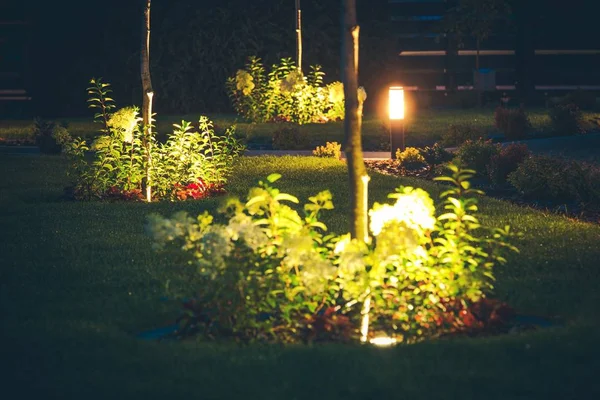 Trawnik reflektor oświetlenie — Zdjęcie stockowe
