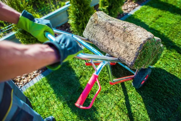 Natural Grass Turf Install — Stock Photo, Image