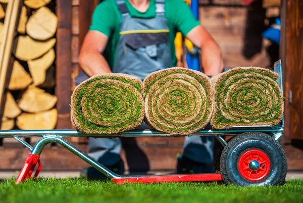 Erba tappeto erboso rotolato su un carrello — Foto Stock