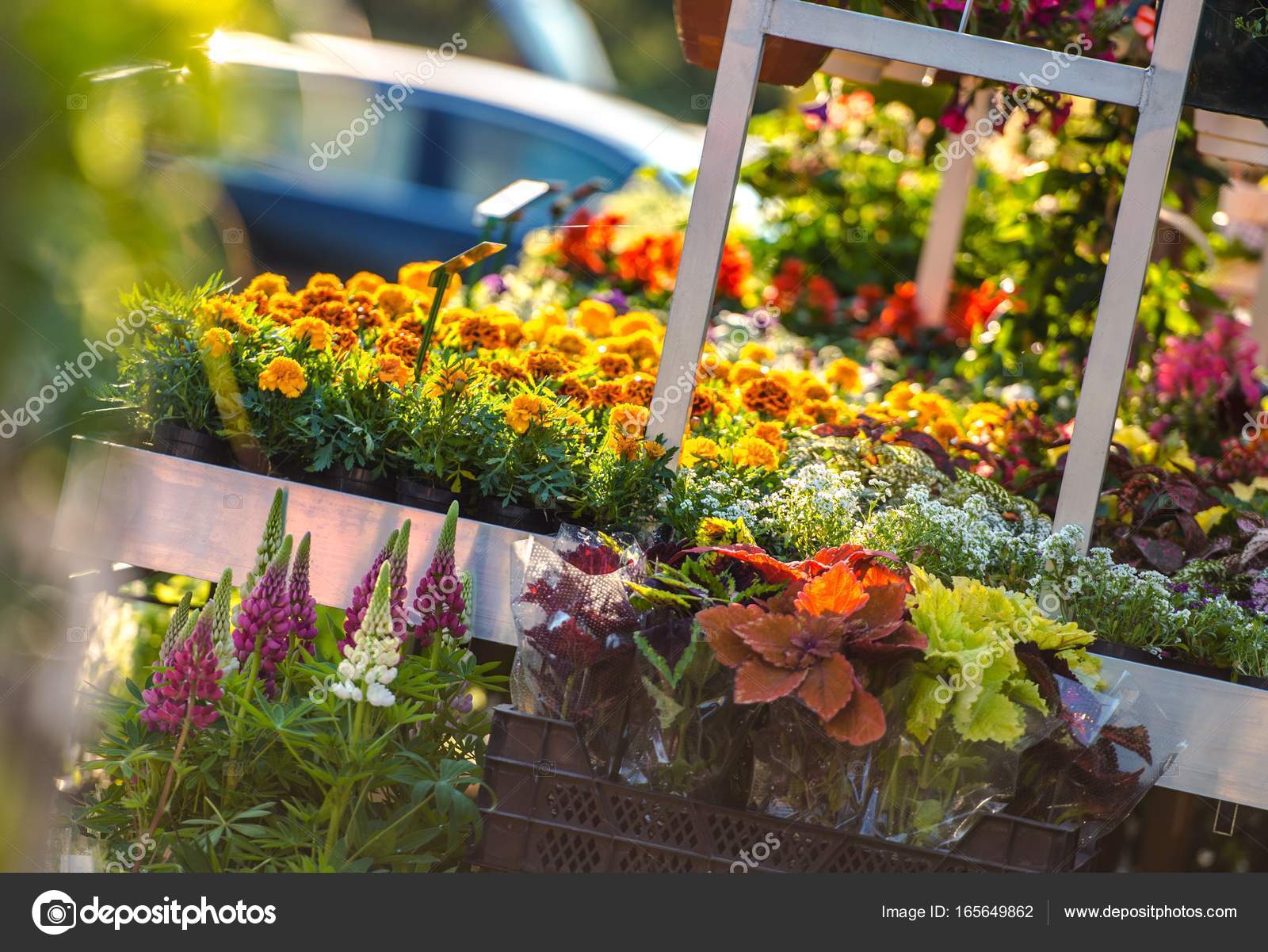 garten geschäft