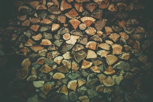 Firewood Logs in a Woodshed — Stock Photo, Image