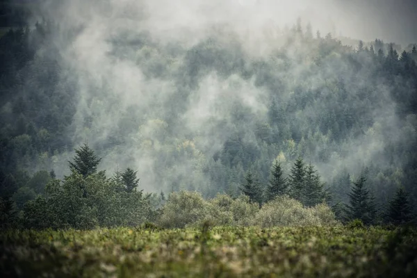 大雾山景观 — 图库照片