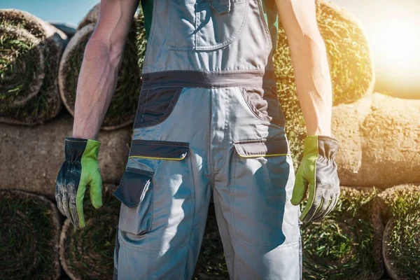 Installing Natural Grass — Stock Photo, Image