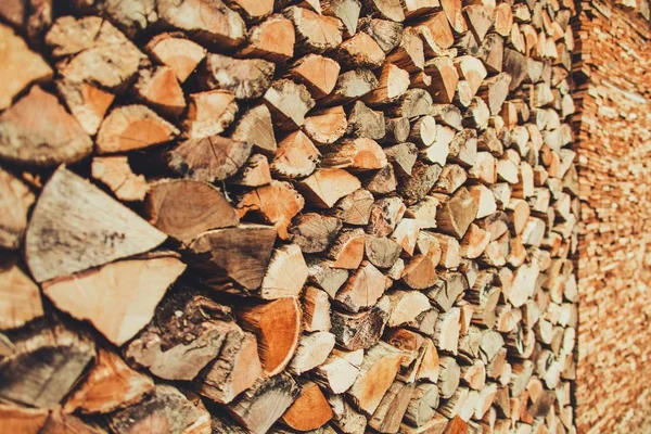 Vedbod redo för vintern — Stockfoto