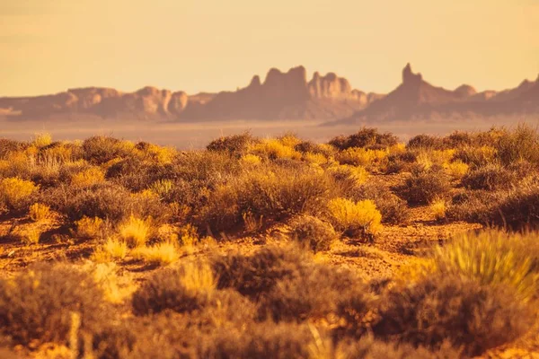 Arizona woestijn landschap — Stockfoto