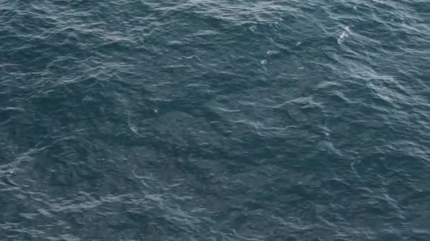 通过海洋水背景素材 — 图库视频影像