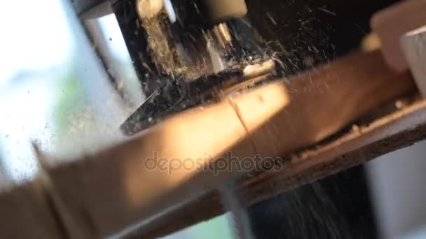 Wood Cutting Slow Motion Reciprocating Saw — Stock Video
