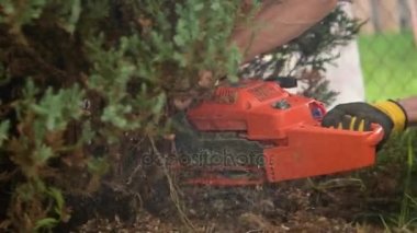 Ölü Bahçe ağaçları Chainsaw kullanarak kaldırma. Ağır çekim.