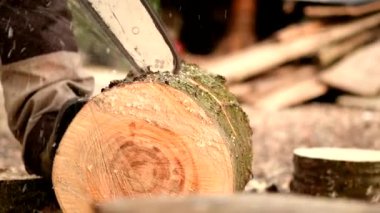 Yakacak odun kış sezonu için hazırlanıyor. Chainsaw çalışma