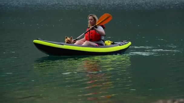 湖の旅行でカヤックで犬と女性 — ストック動画