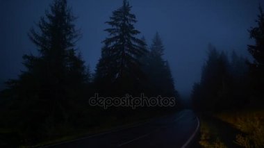 Sisli dağ orman yolu sürüş. Karayolu üzerinde araç