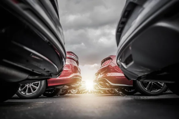 Car Dealership New Stock — Stock Photo, Image