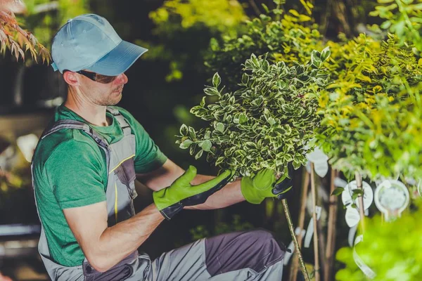 Pflege von Gartenpflanzen — Stockfoto