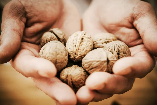 Nueces en las manos del chef — Foto de Stock