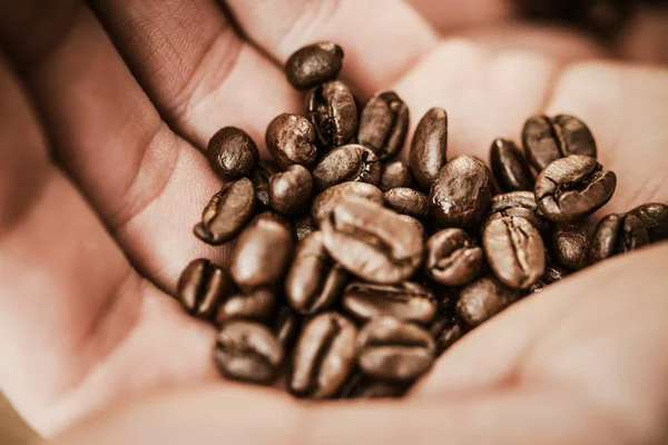 Coffee Beans in a Hand — Stock Photo, Image